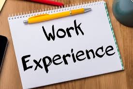 Read more about the article Work Experience